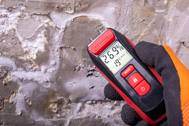 Best Mold Cleaning Services  in St Henry, OH